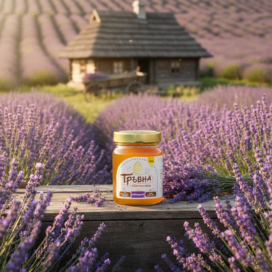 Lavenderhonig „Travna“460g im Glas mit goldfarbenem Deckel, Unbenannt Product September – Shop Now, neu im Sortiment.