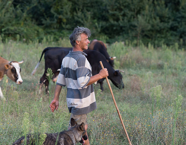 Pastiri Bulgarian Cheese Aged in Brine 200g