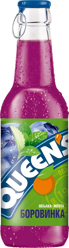 Queens Naturellsaft Heidelbeere-Minze 250 ml