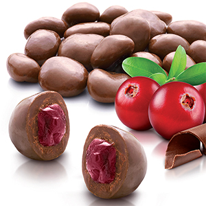 Rois Cranberries mit Milchschokolade überzogen 100g