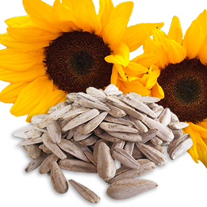 Rois geröstete Sonnenblumenkerne mit Promo 7g Mandeln 150 g