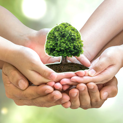 Naya Waffeln 21 Stück