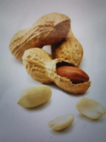 Erdnüsse Detelina mit Meersalz geröstet 90g - Bulgarian TreasuresBulgarian Treasures